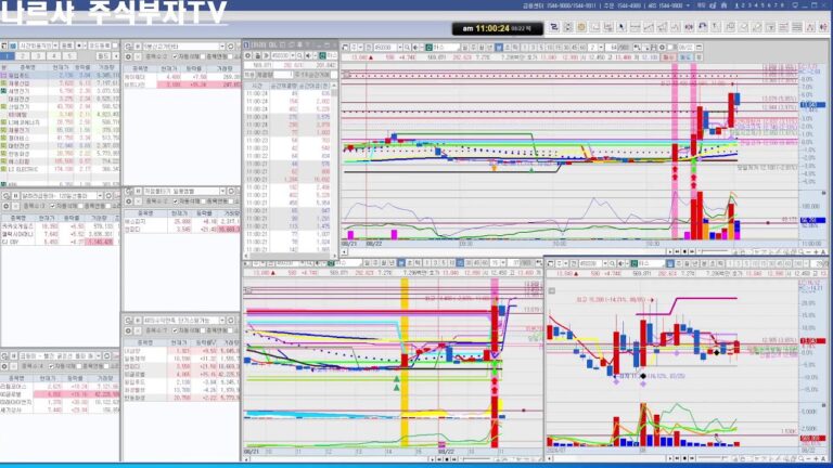 나르샤주식부자TV  8월 22일  100% 수익을 뽑아주는 실전 주식트레이딩, 주식초보, 주식공부방, 단타방,  스윙, 매매 자리 찾는 방법