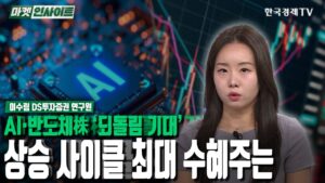 AI·반도체株 '되돌림 기대'…상승 사이클 최대 수혜주는 (이수림) / 업종분석 / 한국경제TV