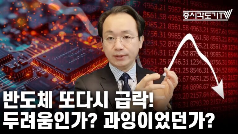 [미국마감] 반도체 또다시 급락! 두려움인가? 과잉이었던가?