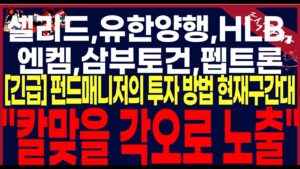 [삼부토건,유한양행,HLB,엔켐,펩트론,셀리드]"정확한 현재구간대에서 해야 할 행동입니다.반드시 필수시청하세요 끝까지 영상보세요!  #hlb #hlb목표가 .#세력주포착TV안교수