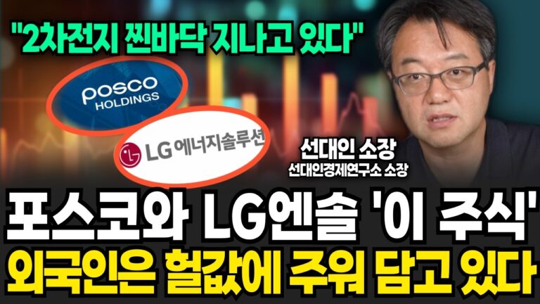 포스코와 LG엔솔, ‘이 주식’ 외국인이 헐값에 주워 담고 있다! (선대인 소장 / 1부)