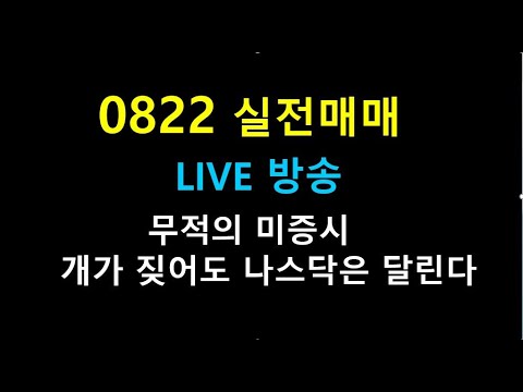 0822   222 //   무적의 미증시/   개가 짖어도 나스닥은 달린다