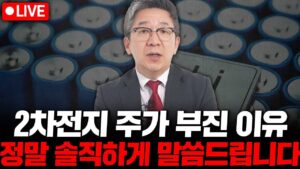 2차전지 주가 부진 이유 정말 솔직하게 말씀드립니다. ( 부자들의 공부방 조진표 대표 )