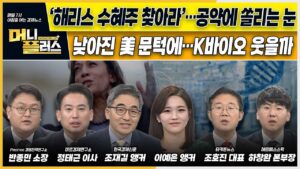 ‘해리스 수혜주 찾아라’…공약에 쏠리는 눈ㅣ낮아진 미국 바이오시밀러 문턱에…K바이오 웃을까ㅣ두산, 지배구조 개편 위기ㅣ[#이슈N전략]ㅣ머니플러스