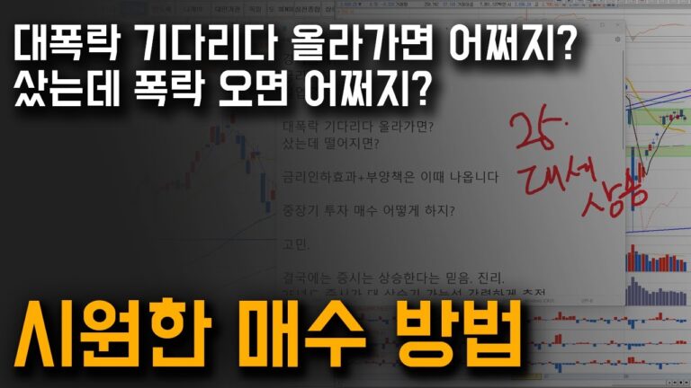 25년 너무 기대되는데 문제는 하반기 주식시장 중장기 투자 대응