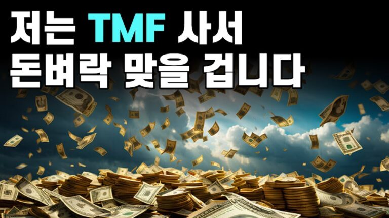 TLT, TMF 이렇게 투자하면 안전합니다