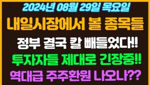 [08월29일 목요일 추천종목!]  정부 결국 칼 빼들었다!! /투자자들 제대로 긴장하고있는 상태 / 엔비디아의 실적발표 / 역대급 주주 환원 나오나? / 현대차 / 삼성도못한걸?