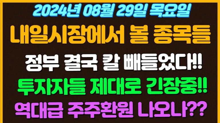 [08월29일 목요일 추천종목!]  정부 결국 칼 빼들었다!! /투자자들 제대로 긴장하고있는 상태 / 엔비디아의 실적발표 / 역대급 주주 환원 나오나? / 현대차 / 삼성도못한걸?