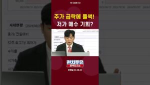 주가 급락에 들썩! 저가 매수 기회?｜런치투유 #shorts