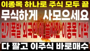 [주식] 2차전지 세계 1위 '이 기업' 외국인이 바닥에서 쓸어담은 주식 딱 1개! [2차전지관련주, 에코프로비엠, 주식전망, 엘앤에프, 포스코홀딩스, 9월주식전망]