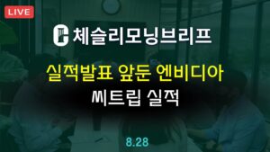 [체슬리모닝브리프] 실적발표 앞둔 엔비디아. 씨트립 실적 [24/08/28]