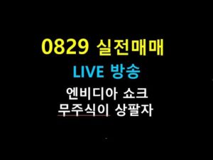 0829   22 //  엔비디아 쇼크    / 무주식이 상팔자