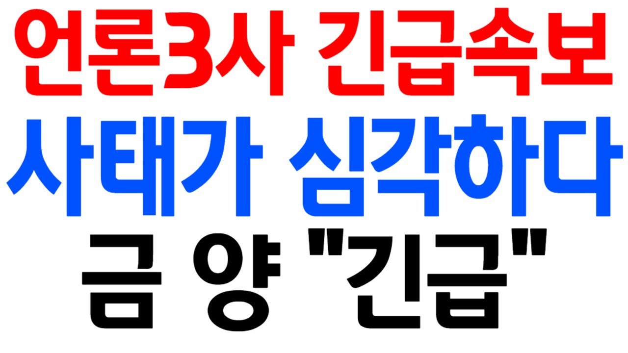 [금양 주가전망] 언론 3사 긴급속보!! 박순혁 작가님도 울분이 터지실껍니다. 사태가 심각하네요.. 이 부분은 확실히 체크 하고 가시는게 좋겠습니다! 필히 시청하세요.