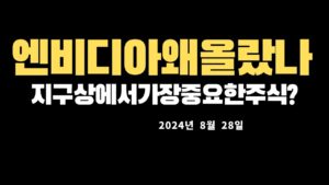 엔비디아,코스피코스닥시황,미국증시마감시황및대응전략20240828 0531360085