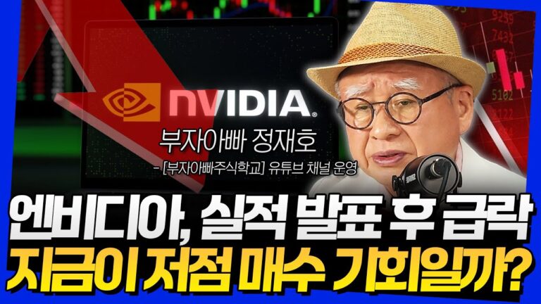 엔비디아, 실적 발표 후 급락! 지금이 저점 매수 기회일까? (부자아빠 정재호 1부)