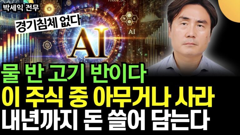 “물 반 고기 반이다” 이 주식 중 아무거나 사라, 내년 상반기까지 AI, 반도체 제대로 상승장 온다 (박세익 전무 / 3부)