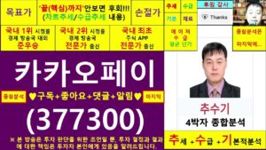 카카오페이(377300)종목진단및향후주가전망 추수기(추수)전문가