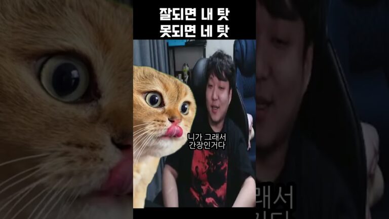 잘되면 내 탓 못되면 네 탓