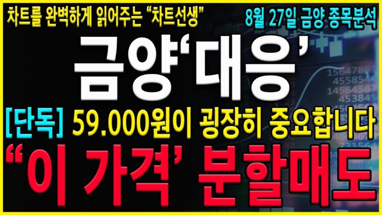 [금양 주가 전망] “긴급” 반등은 나올 수 밖에 없다! 반드싱 “이 가격” 반드시 확인해서 체크하세요. 종목과 사랑에 빠지지말고 냉정하게 보세요#에코프로 #에코프로비엠 #금양