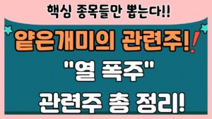 [관련주] 얕은개미의 핵심 관련주 정리! / 열폭주, 전기차, 화재, 관련주! /