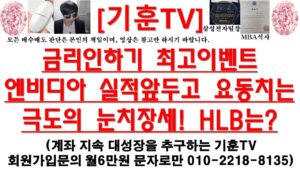 [주식투자]HLB(금리인하기 최고이벤트 엔비디아 실적앞두고 요동치는 극도의 눈치장세! HLB는?)