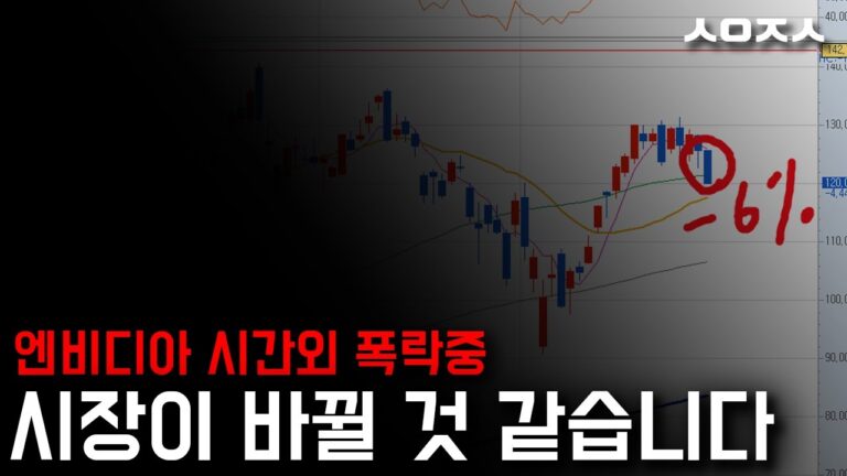 엔비디아 급락이 오히려 다른 기회 창출