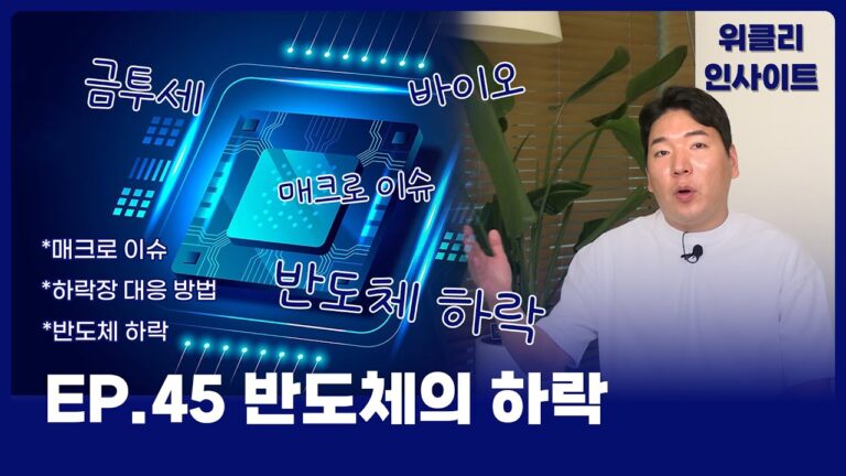 [위클리 인사이트] 하락장의 피난처, 반도체 하락 대응 방법