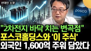 "2차전지 바닥 치는 변곡점이다" 포스코홀딩스, LG 엔솔 그리고 '이 주식' 외국인, 기관 헐값에 주워 담고 있다 (선대인 소장 / 1부)