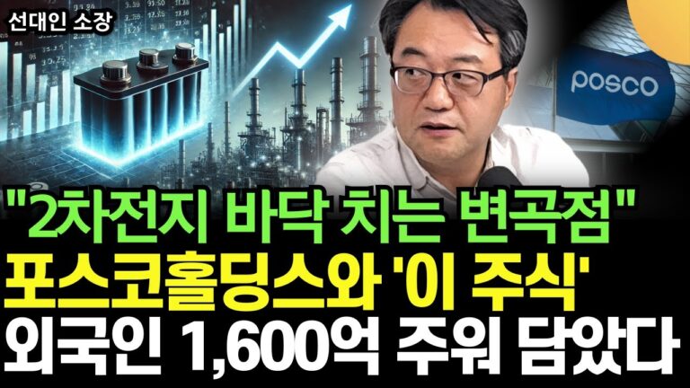 “2차전지 바닥 치는 변곡점이다” 포스코홀딩스, LG 엔솔 그리고 ‘이 주식’ 외국인, 기관 헐값에 주워 담고 있다 (선대인 소장 / 1부)