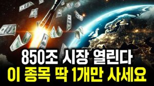 50년만에 850조 시장 열린다. 이 종목 '딱 1개'만 사모으세요｜김재웅 책임