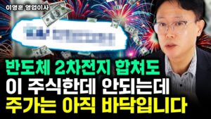 이 주식 반도체의 4배, 2차전지의 20배다. 곧 전세계 시장 다 먹는다｜이영훈 영업이사 3부