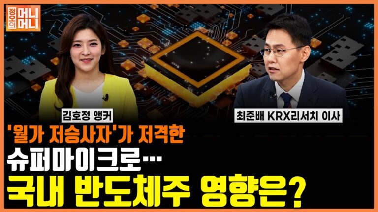 ‘월가 저승사자’가 저격한 슈퍼마이크로국내 반도체주 영향은? ㅣ정오의 머니머니ㅣ한국경제TV