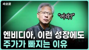 [속보효] 엔비디아! 이런 성장에도 주가가 빠지는 이유