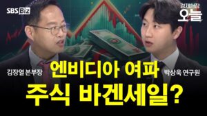 [집중진단] 엔비디아 깜짝 실적에도 주가 급락…AI 거품론 vs. 열풍 지속