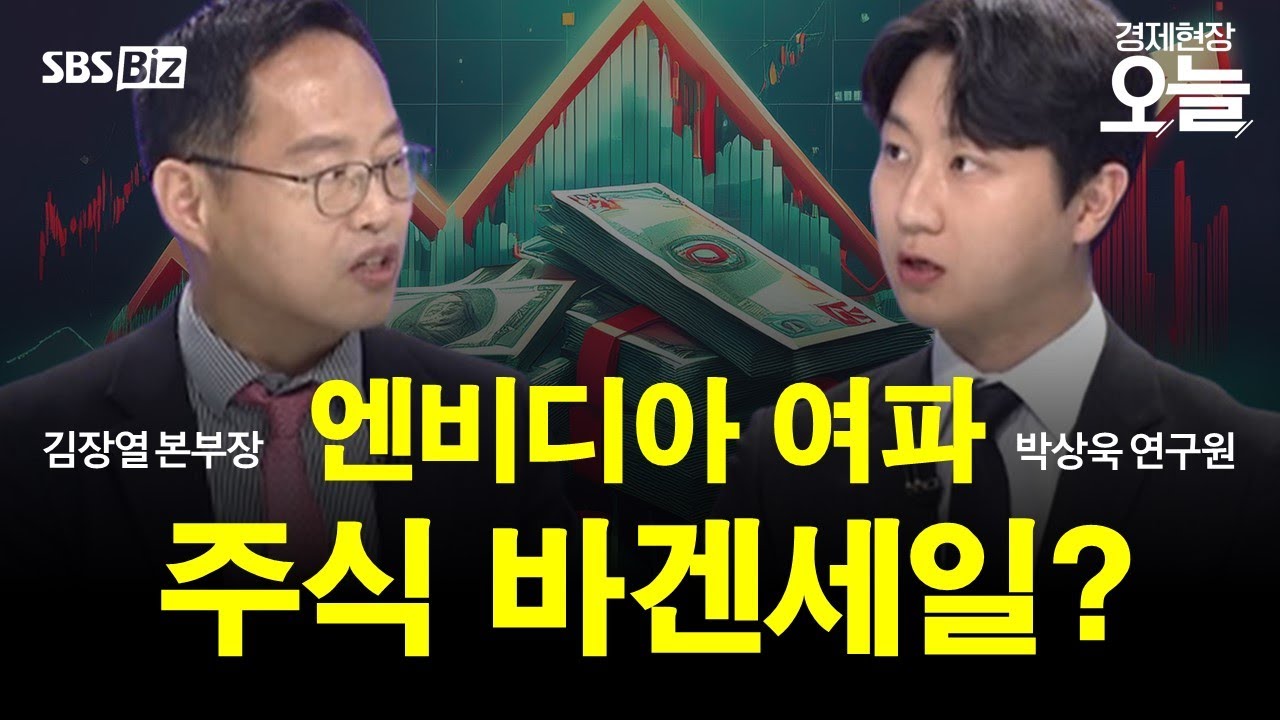 [집중진단] 엔비디아 깜짝 실적에도 주가 급락…AI 거품론 vs. 열풍 지속