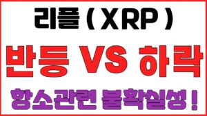 [리플코인] 반등 VS 하락 ! 항소관련 불확실성 ! (불독코인,프리세일코인,시바이누코인,리플,이더리움,도지코인,코인단타,사면가TV)