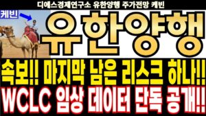유한양행 주가전망] 속보!! 마지막 남은 리스크 하나!! WCLC 임상 데이터 단독 공개!! feat.디에스경제연구소 케빈