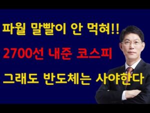 [주식]파월 말빨이 안 먹혀 2700선 내준 코스피 그래도 반도체는 사야한다(20240826월)주식 주식투자 주식강의 주식공부 주식초보 주식단타 주식고수 단타매매