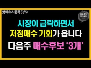 시장 급락으로 저점매수 기회가 발생하고 있는 매수 후보 ‘3개’