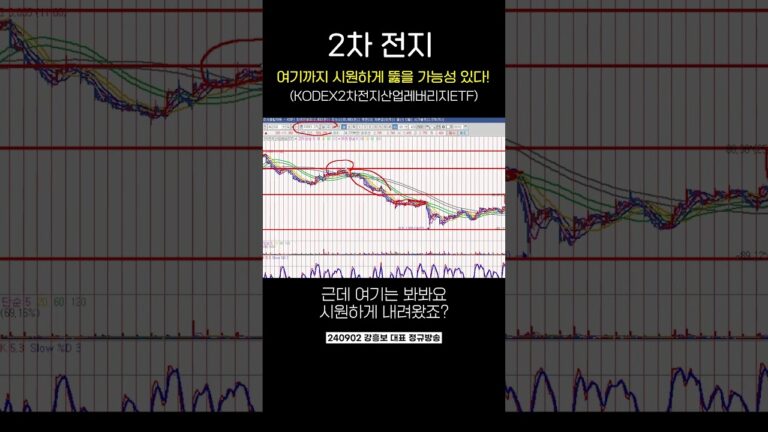 KODEX2차전지산업레버리지ETF 2차 전지 전망 | 강흥보 대표