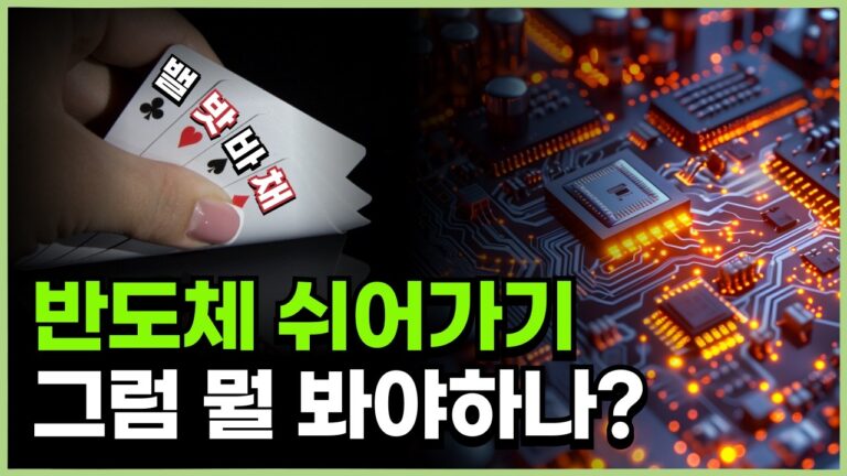 9월은 반도체 보다 밸류업!? (2차전지는? 바이오는?)