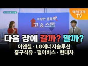 [수상한 종목 GO&STOP] 다음 장에 갈까? 말까? 이엔셀·LG에너지솔루션·흥구석유·펄어비스·현대차 김태성/아이에셋 본부장