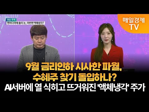 [이슈 추적] 추적! 금리인하 수혜주·액체냉각 관련주 김민수/레몬리서치 대표