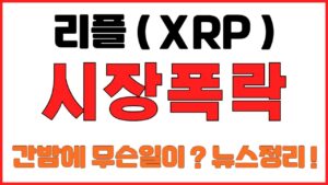 [리플코인] 시장폭락 ! 간밤에 무슨일이? 뉴스정리 !  (불독코인,비트코인,프리세일코인,시바이누코인,리플,이더리움,도지코인,코인단타,사면가TV,코인키스)