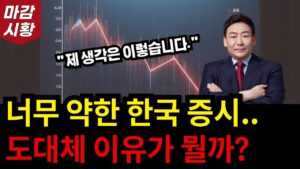 너무 약한 한국 증시.. 도대체 이유가 뭘까? 전 '이렇게' 생각합니다. 정확히 분석해드릴게요.