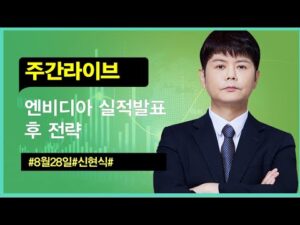 신현식ㅣ8월28일 엔비디아 실적발표이후 전략 #와우넷 #주식단타 #신현식