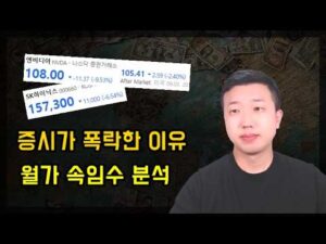 증시가 폭락한 이유와 이를 준비한 월가의 속임수(ft.엔비디아)