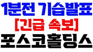 [포스코홀딩스] LIVE 1분전 기습발표💥긴급속보!! #박순혁 #선대인TV