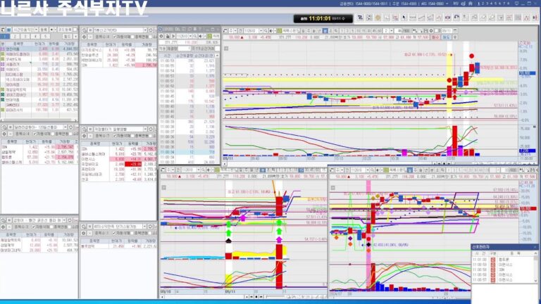 나르샤주식부자TV  9월  11일  100% 수익을 뽑아주는 실전 주식트레이딩, 주식초보, 주식공부방, 단타방,  스윙, 매매 자리 찾는 방법