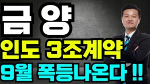 [금양 주가전망]🔥인도 3조계약 9월 폭등나온다!! #박순혁 #기봉이 #주식임부장 #선대인tv